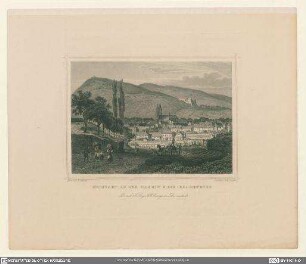Neustadt an der Haardt & die Haardtburg