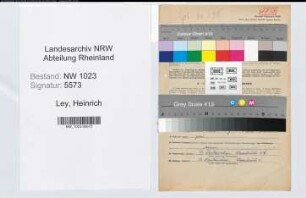 Entnazifizierung Heinrich Ley , geb. 27.11.1906 (Angestellter)