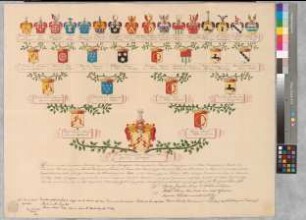 Proband: Heereman von Zuydtwyck, Theodor Joseph Ludwig Vinzenz; Vater: Heereman von Zuydtwyck, Franz Ernst; Mutter: Wrede, Maria Anna von: -