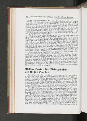 Die Wiederzunahme des Weißen Storches.