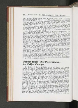 Die Wiederzunahme des Weißen Storches.