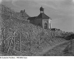 Radebeul. Schloß Wackerbarths Ruhe (1727/1729), Blick vom Weinbergweg über das Belvedere zum Jacobstein