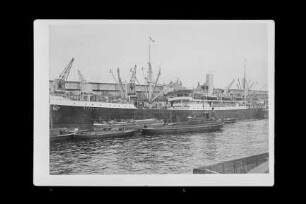 Bavaria (1905), Passagier- und Frachtschiff, Hamburg-Amerika Linie, Hamburg, Bau-Nr. 417