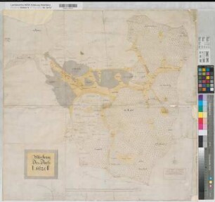 Nassau-Siegen (Fürstentum) ref. Teil Spezialkarten der Gemarkungen Lützel (Hilchenbach) 1720 6000 rh. Fuß = 26,1 cm 73 x 75 kol. Zeichnung Erich Philipp Plönnies KSA Nr. 789,16