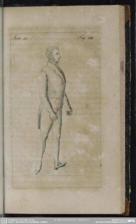Seite 85. Fig. VIII