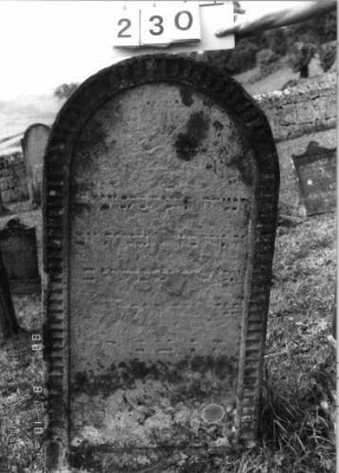 Grabstein 230