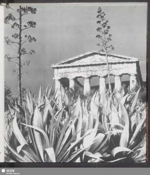 Der Tempel von Segesta