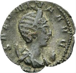 Salonina