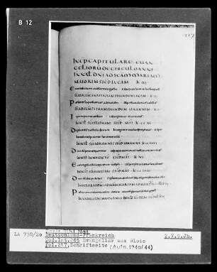 Evangeliar aus Blois — Evangeliar aus Blois, Folio 217Textblatt