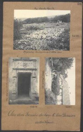 Kaysersberg: Gemüsegarten des I/LIR 3
