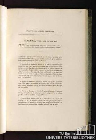 Traité des arbres fruitiers. Vineuse, pourprée hative. Duh. Persica succedanea, flore magno, fructu magnitudinis mediae, ad solem obscurè rubente, carne de nucleo secedente; glandulis petiolorum globulosis.