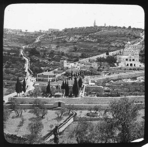 Mt. Of Olives fr. city wall [Ölberg, Jerusalem]