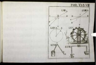 Phil. Tab. VIII.
