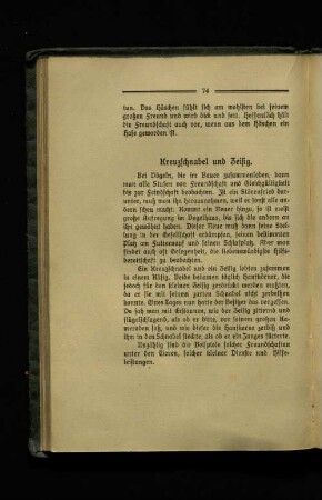 Kreuzschnabel und Zeisig