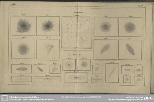 Tafel XXXIII. und XXXIV. Fig. 19-27. Sterngruppen. Nebel. Fig. 28-42. Sternnebel.
