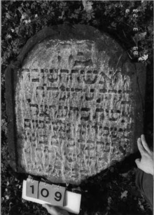 Grabstein 109 (Index: 99792198) Material: Sandstein Zustand: verwittert und beschädigt mit Textverlust, unterer Teil der Stele fehlt, Stele liegend Maße HxBxT: 82x73x12 cm Beschreibung: Stele, eingezogener Segmentbogenabschluß, Schriftfeld eingetieft: Grabstein 109
