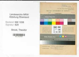 Entnazifizierung Theodor Strock , geb. 24.08.1891 (Beamter)