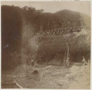 Bilder aus dem bolivianischen Urwald