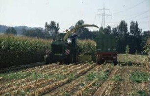 Fotografie: Ernteverfahren, Silomais, Maishäcksler selbstfahrend, Parallelverfahren, Ertragsmessung