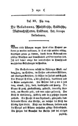 ¬Die¬ Belladonna : Taf. XX, Fig. 104
