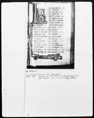 Psalterium und Diurnale — Initiale K (yrielelison), Folio 123 recto