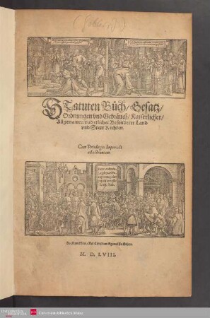 STatuten Buch Gesatz Ordnungen vnd Gebraeuch Kaiserlicher Allgemainer vnd etlicher Besonderer Land vnd Stett Rechten.