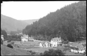 Kipsdorf (Erzgebirge). Villa Johanna,Waldburg, Magarethenhof