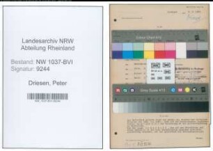 Entnazifizierung Peter Driesen , geb. 25.03.1906 (Ingenieur)