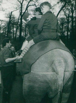 Ostern im Zoo. Kinderreiten auf dem Elefanten Shanti