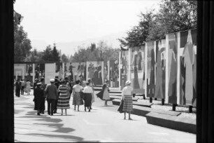 Zürich: die Linie, Wandbilder