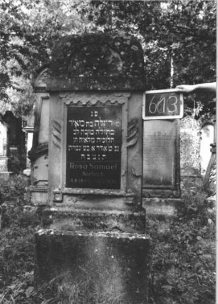 Grabstein 613 (Index: 99895319) Material: Sandstein, Schriftplatte Glas Zustand: leicht bewachsen Maße HxBxT: 184x65x24 cm Beschreibung: Stele mit Korbbogenabschluss, Schriftplatte, Sockel Symbolik: Davidstern, Girlande: Grabstein 613 (1)