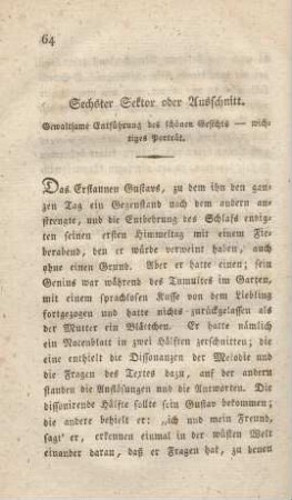 Sechster Sektor oder Ausschnitt. Gewaltsame Entführung des schönen Gesichts — wichtiges Portrait