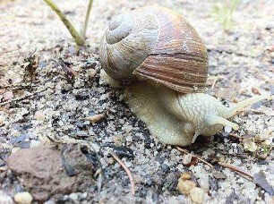 Slow - Langsam ist das neue Schnell