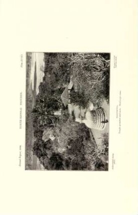 Plate LVIII. North-central province. Elagomuwa. Temple premises and tank. Bird's-eye view.