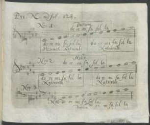 P II. N. ad fol: 128