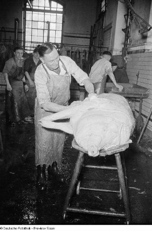 Arbeiter beim Häuten eines Schweins