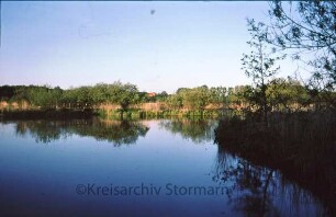 Trave, dahinter Brenner Moor