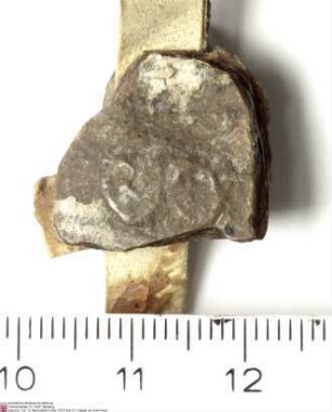 Guta (Gude) von Buchenau, Witwe des Neidhard (Nithard) von Buchenau, ihr Sohn Engelhard und ihre Töchter Elisabeth (Else) und Sophia (Fye) bekunde...