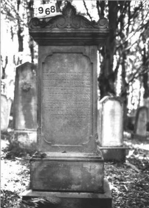 Grabstein 968 (Index: 99899503) Material: Sandstein Zustand: gut erhalten, Rückseite angewittert Maße HxBxT: 173x63x36 cm Beschreibung: aufgesockelte Stele, Aufsatz mit Voluten und Palmette Symbolik: Voluten, Palmette: Grabstein 968