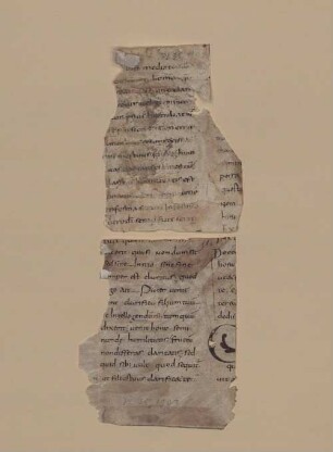 In Johannis evangelium tractatus CXXIV - BSB Clm 29382(6