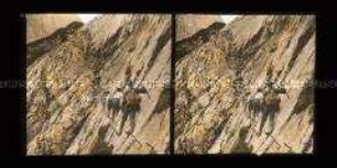 Touristen klettern an der steilen Wand, Das Brett, Zugspitze