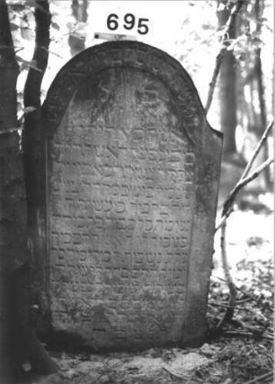 Grabstein 695 (Index: 99900509) Material: Sandstein Zustand: stark verwittert Maße HxBxT: 117x67x10 cm Beschreibung: Stele mit Konvexbogenabschluss: Grabstein 695