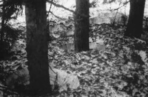 Schneeschmelze : Trichterartige Schneeschmelzerscheinungen in einem Wald