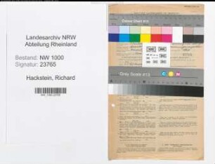 Entnazifizierung Richard Hackstein, geb. 12.02.1888 (Verm.Inspektor)