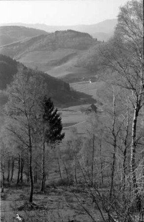 Landwasser: Blick mit Birken im jungen Grün