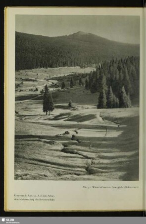 Wiesental unterm Lusengipfel (Böhmerwald)