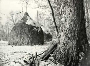 Feldarbeit im Spreewald, Heuschober : Land- und Viehwirtschaft - Ernte und Heueinbringung. Ort: Błóta / Spreewald. Trocknen von Heu auf Heuschobern