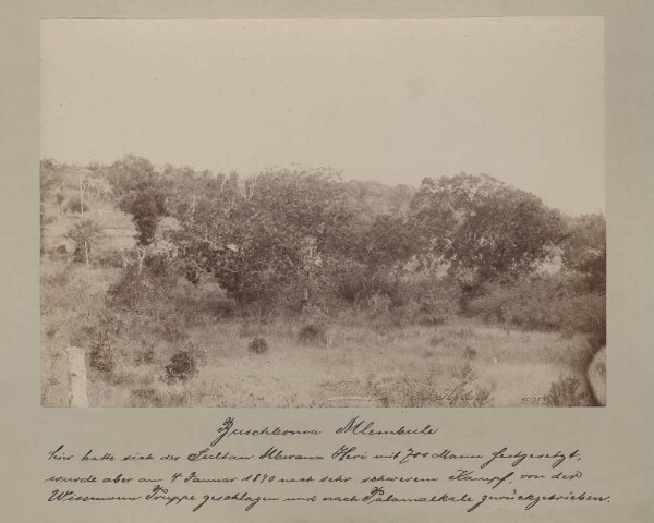 Buschboma Mlembule. Sultan Mbwana Heri had established himself here with zoo men, but was defeated by Wissmann's troops on 4 January 1890 after a very difficult battle and driven back to Salamalkale