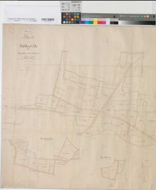 Amelsbüren (Münster), Teilung des Inkingroder, Mühlen- und Kirchfelds, Brouillonkarte Mühlenfeld mit Roggenfeld, Lau und Sellbreede