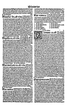 VII. Nux vomica